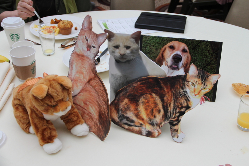 At breakfast people use cut put photos of their pets so that they can recognise each other from Twitter etc